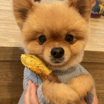 치료끝 !