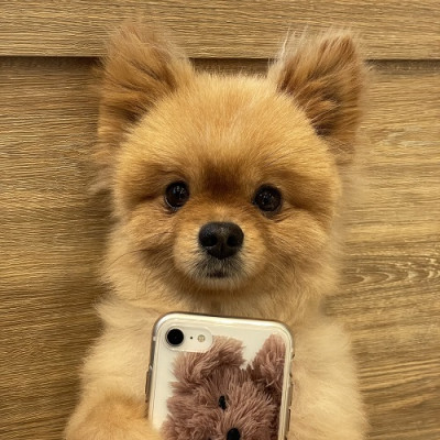 #셀카 #오늘의개