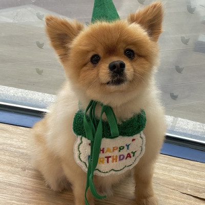 매일매일 생일처럼