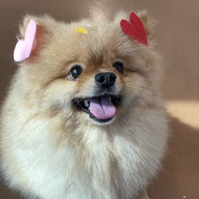 ♡누룽지♡
