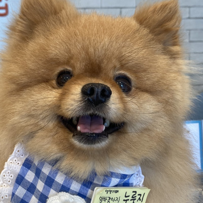 알바중인 누룽지 ◦'⌣'◦