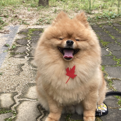 ㅎㅔ헷 ♥