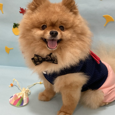 행복한 추석 •ᴗ• ❤