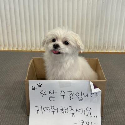 귀여워해주세요♥