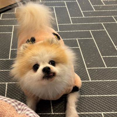 두유는 사람이 너무 좋아