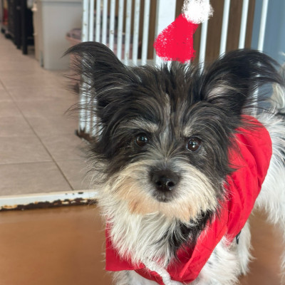 빼로 입양 확정 ♥